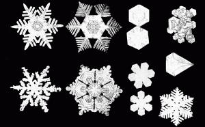 Snowflakes